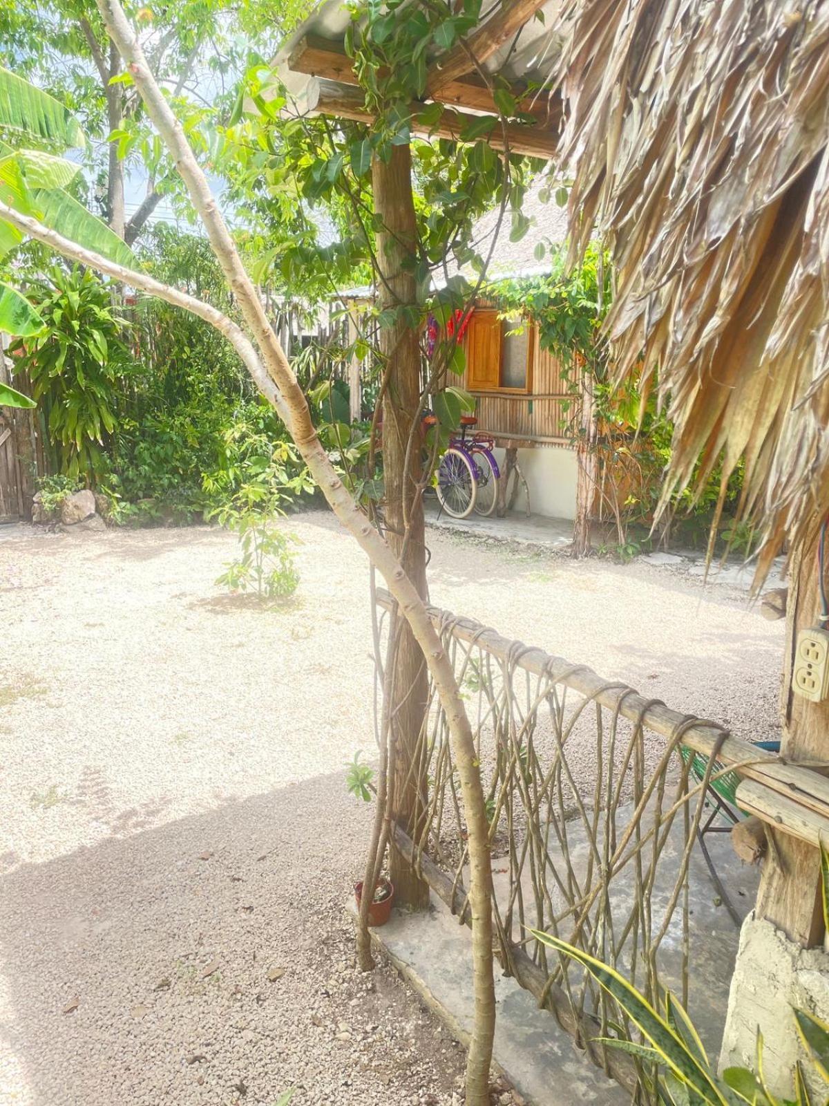 Cabanas Alma Verde Bacalar Εξωτερικό φωτογραφία